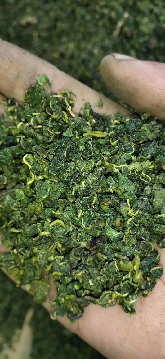 新货桑叶5斤包邮 产地货源桑叶茶颗粒状霜后桑叶茶颜色青散装批发