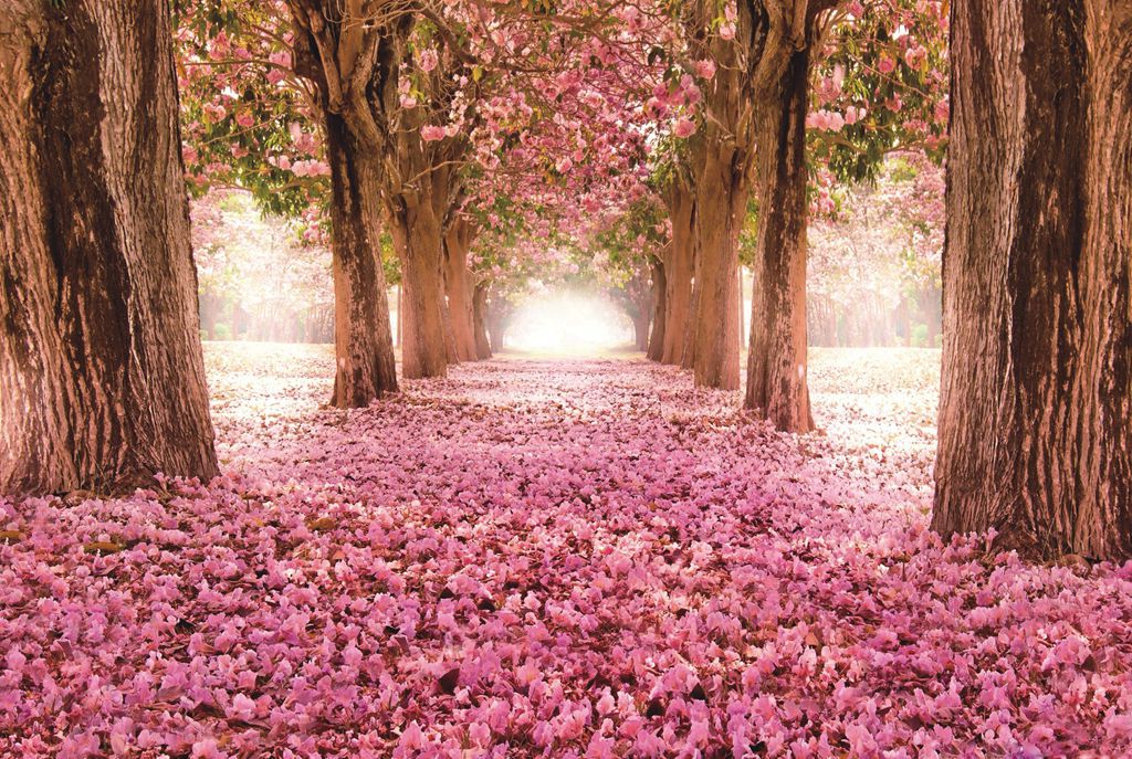 爆款1000片纸质平面拼图风景唯美拼图成人超难智力拼图跨境货源