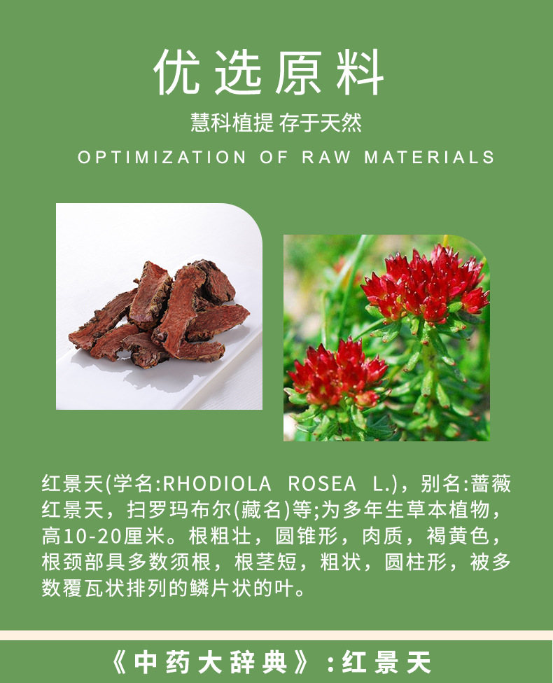 红景天苷98红景天甙红景天提取物量大优惠免费包邮