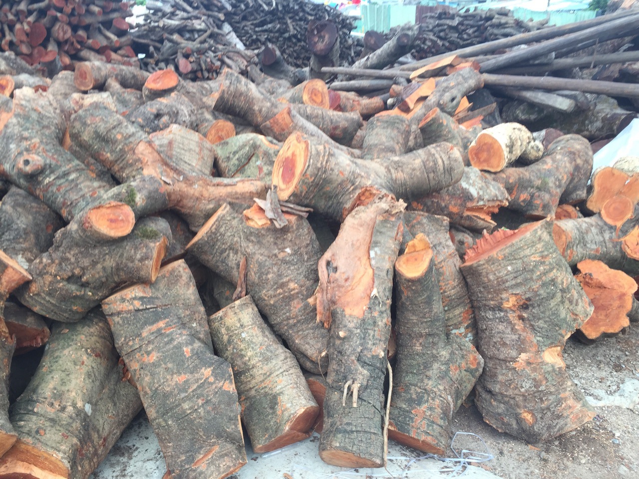 荔枝木柴荔枝燃烧材料烧烤料北京果木柴