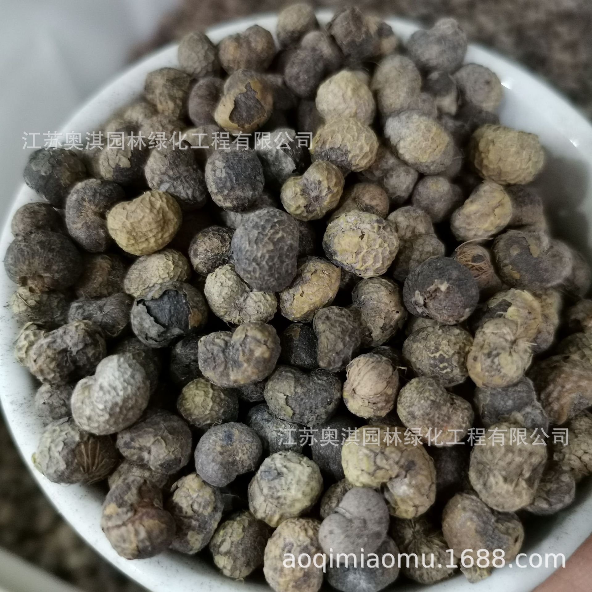 散装棕榈种子棕树种子唐棕拼棕中国扇棕山棕种子货到付款