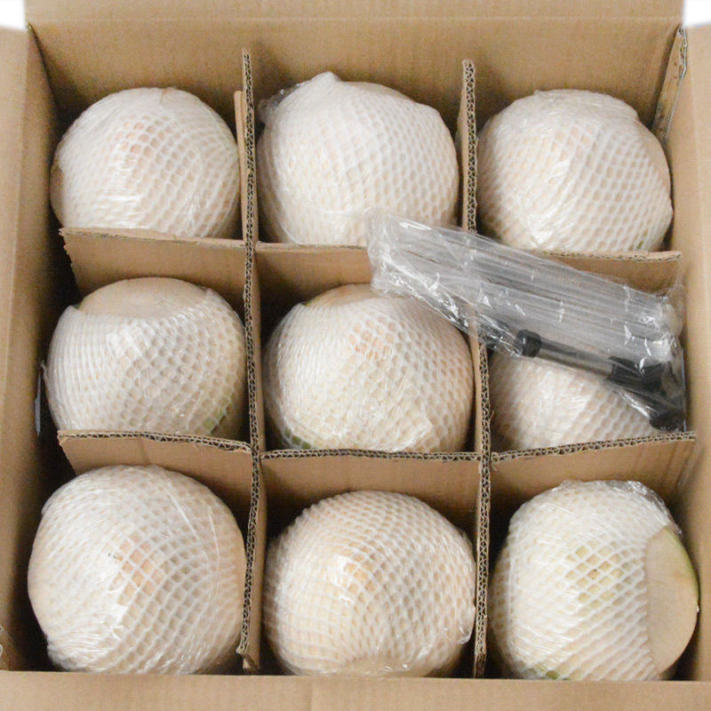 同款11海南青皮椰子椰青  带皮椰子文昌三亚新鲜现摘椰子批发063