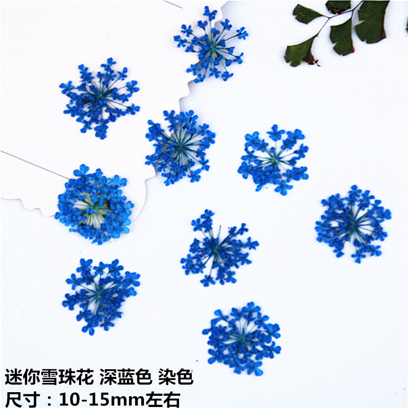 Snow Flower Beads Small Lace Flower Mini Nail Beauty Dried Flowers Plant Specimen Face Decoration Petal Makeup Sticker Face Flower