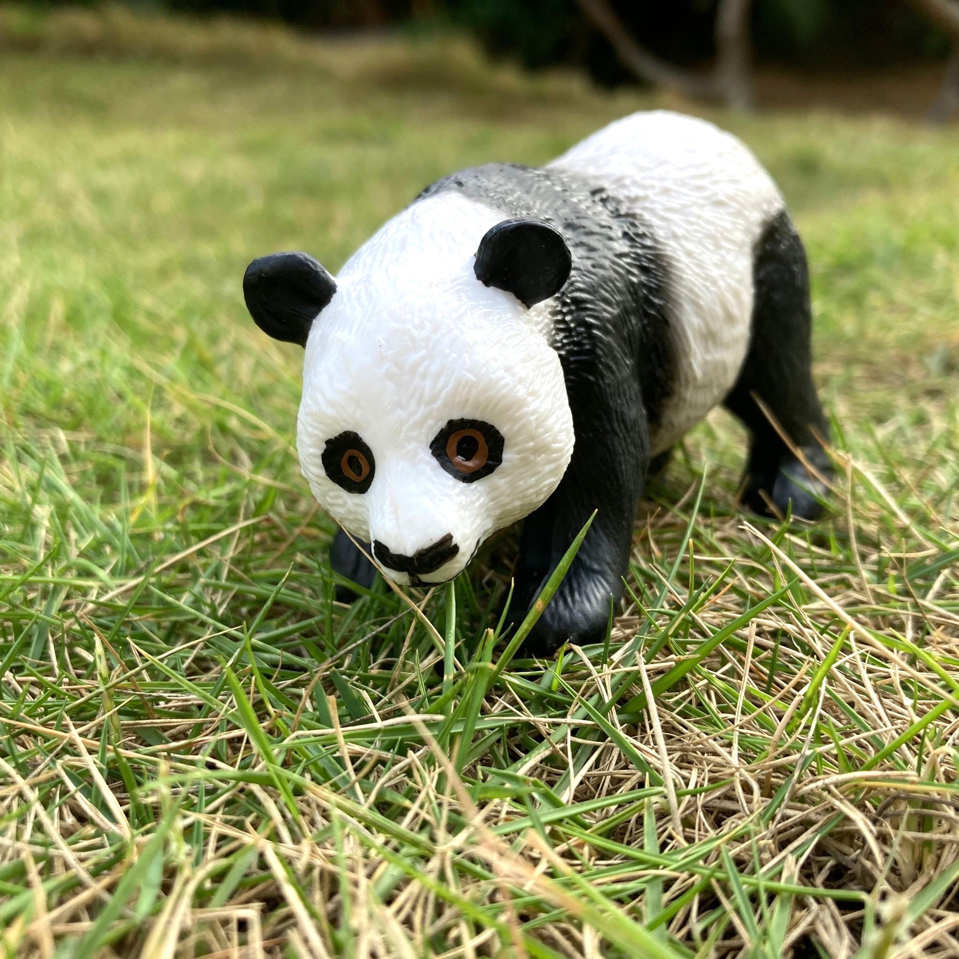 跨境仿真实心野生动物模型 大熊猫 小熊猫 熊猫玩具模型套装摆件