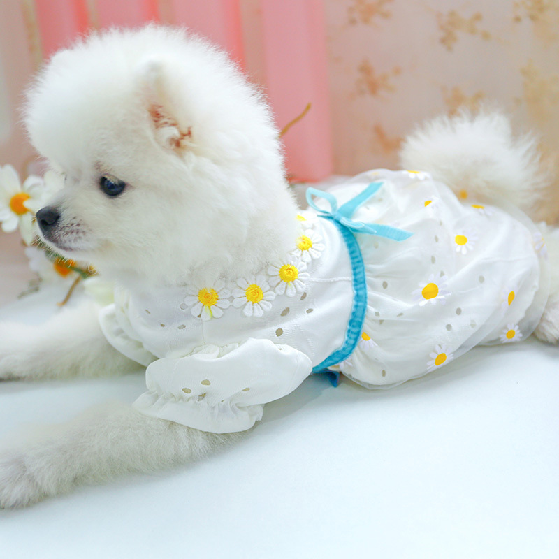 小狗狗衣服春秋季宠物连身裙小型犬比熊博美夏季薄款透气泰迪裙子