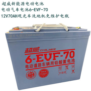 60v电动汽车电池电动轿车电动观光车四轮轿车电瓶60v伏70安
