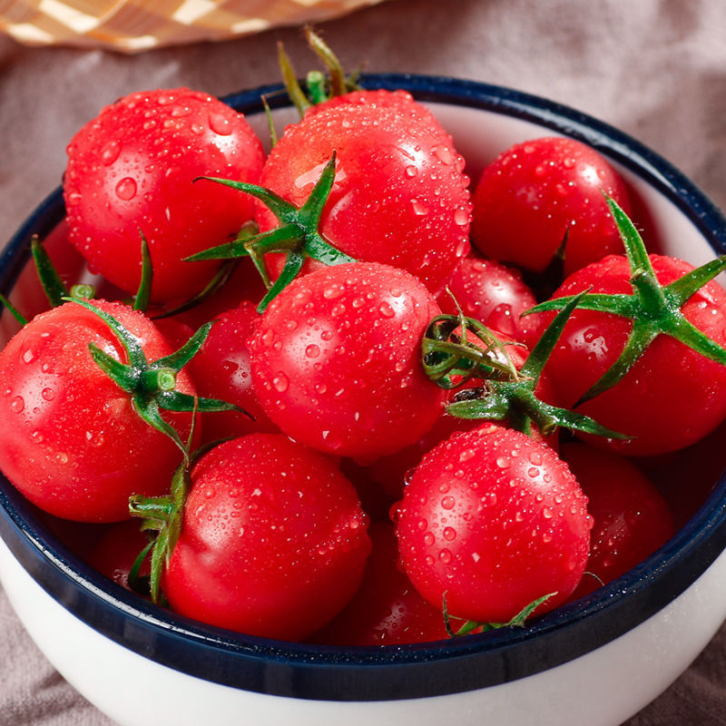 广西百色圣女果新鲜蔬菜小番茄樱桃西红柿当季非千禧水果6斤包邮