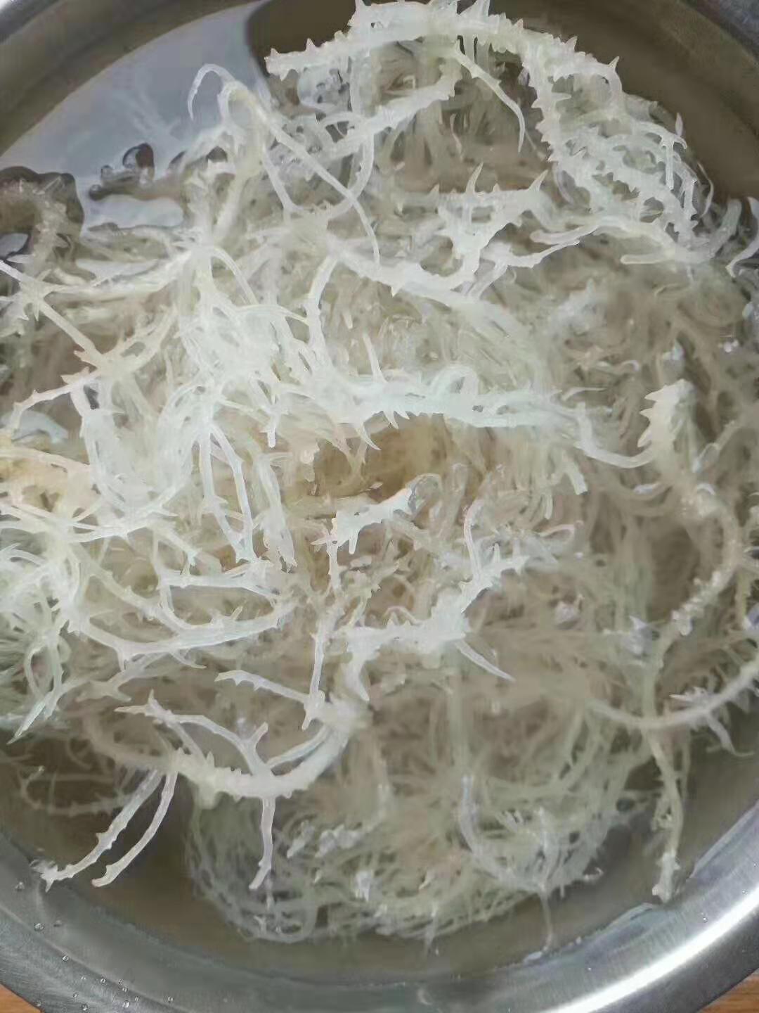 地摊石花菜海石花龙须菜鹿角菜供应白度好耐泡水口感好