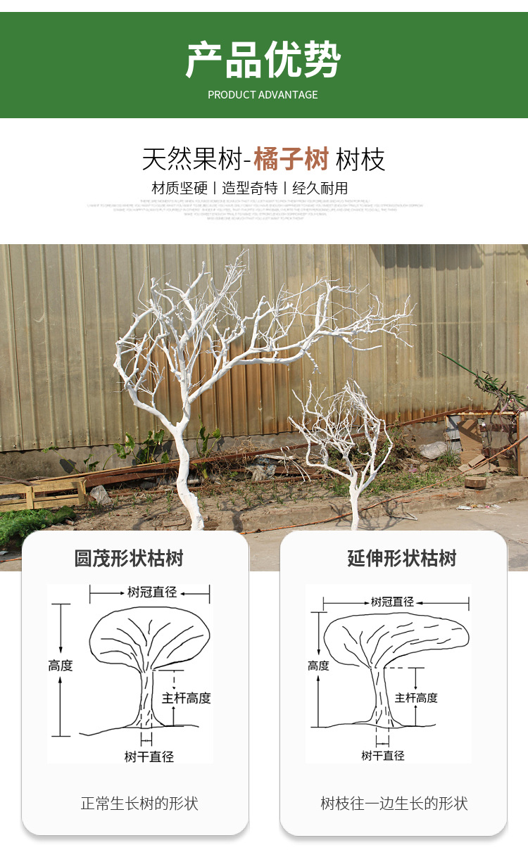 干树枝枯树装饰树干许愿树造型树婚礼道具柏树枝仿真树室内摆件