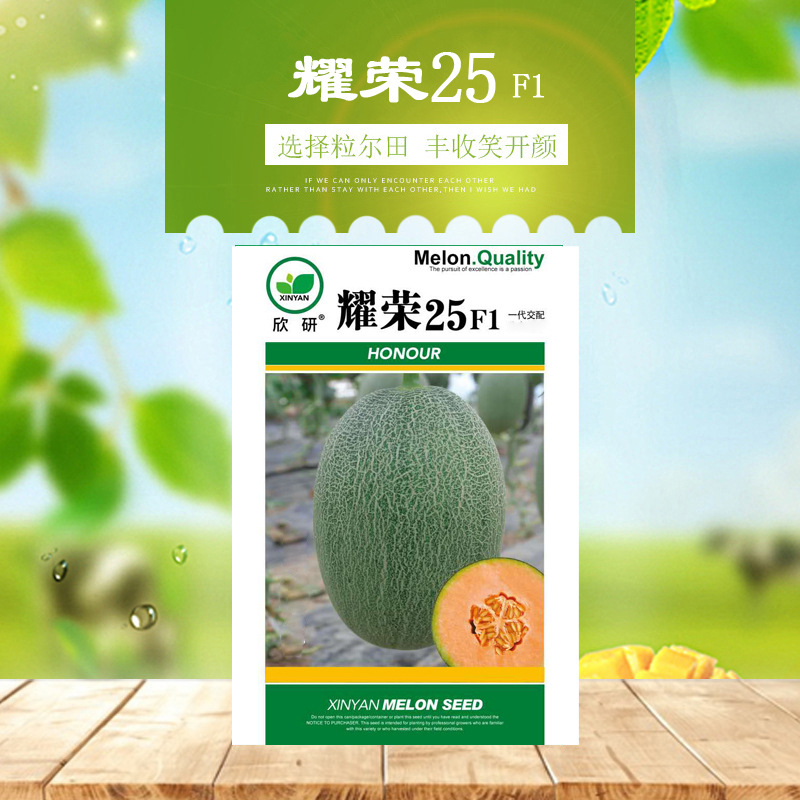 耀荣25西州蜜耀珑甜瓜种子 哈密瓜种子 网纹瓜 大面积种植