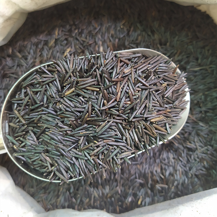 批发 大包3号野米加拿大冰湖野生菰米美国苏比利尔松针米进口黑米