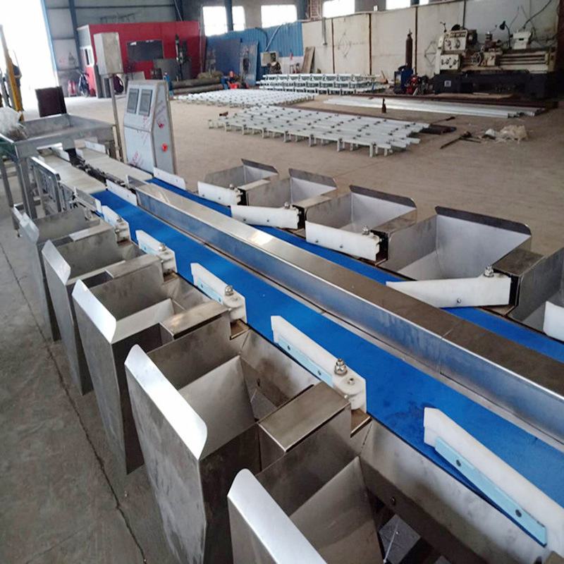 鱿鱼干重量分选机皮带式鱼干自动称重分级机厂家