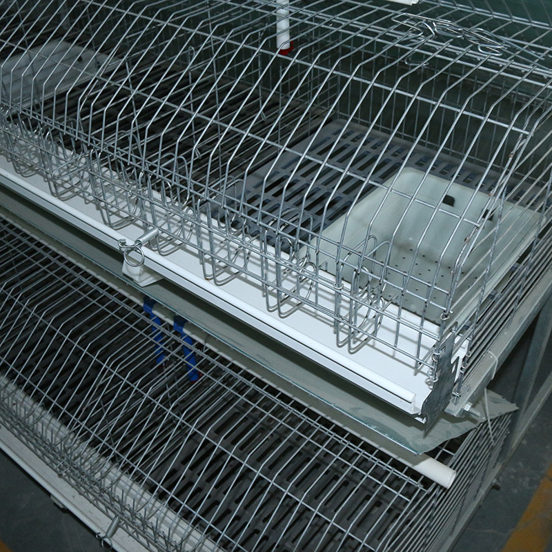 加粗养殖兔子笼 免清粪12笼子母兔笼 定制大型养殖场镀锌饲养笼