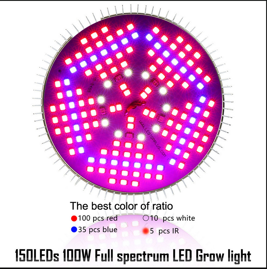 事迹预告]亿晶光电(600537)：亿晶光电科技股份有限公司2025年度事迹预亏的提示性告示