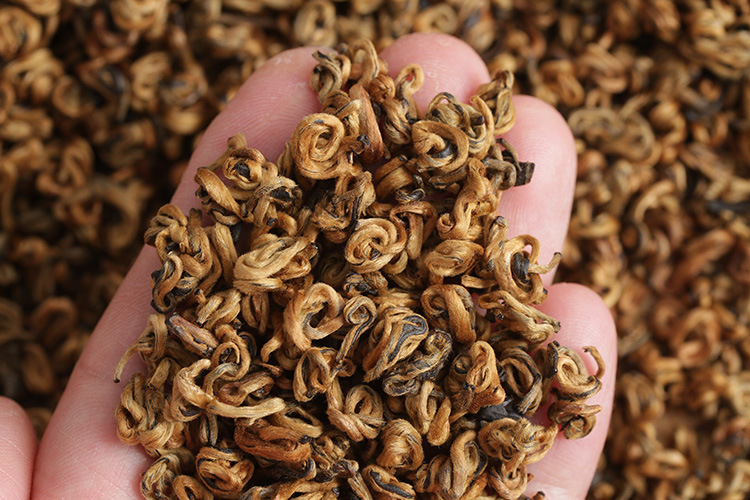 大量批发云南红茶 凤庆滇红金螺(2号)2020年早春茶 蜜香金碧螺