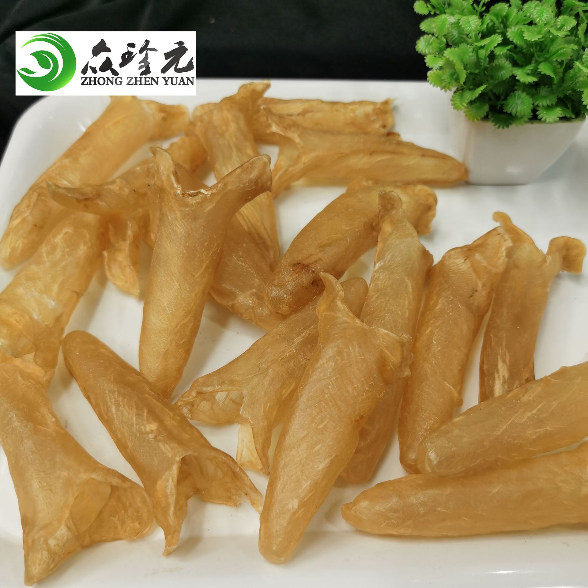 众珍元【黄花胶筒 60 40 30 20 17头】鱼胶 全国诚招代理一件代发