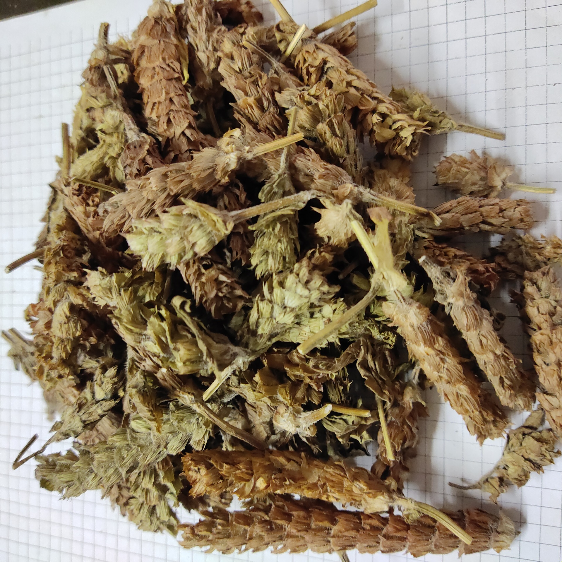 夏枯球 xiakuqiu 产地江苏省 55元每公斤 包邮 夏枯球