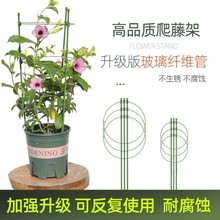 爬藤花架植物支撑杆柱铁线莲月季花卉攀爬架绿萝爬藤架子园艺用品