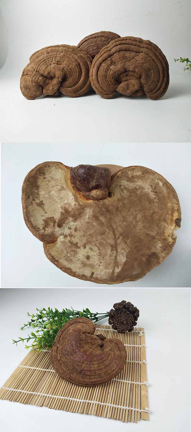 长白山带粉赤灵芝整枝深山赤灵芝可切片煲汤泡酒泡水一斤500g左右