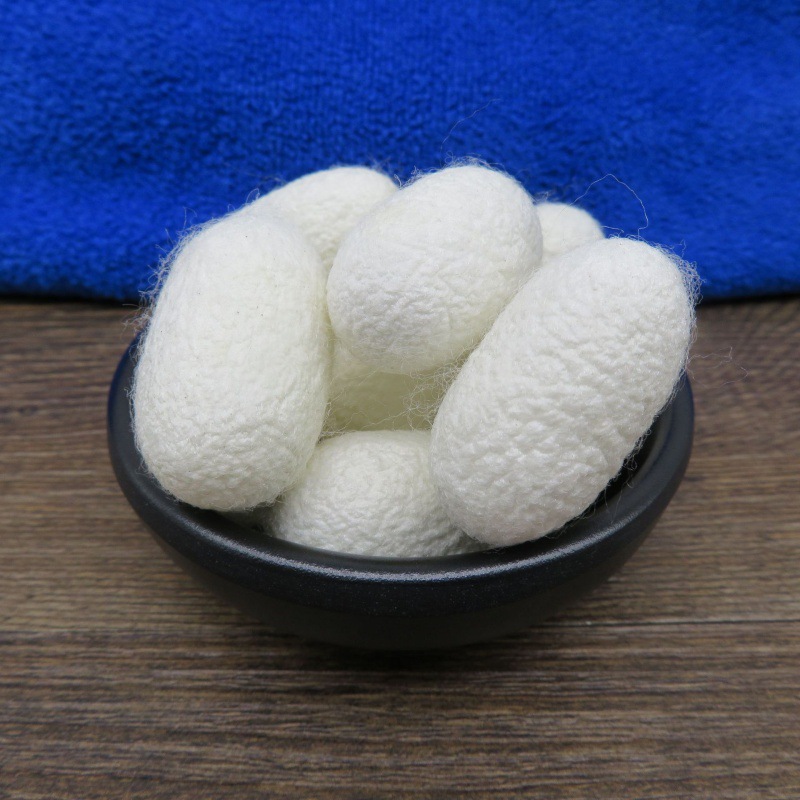 蚕茧 带蛹蚕茧 蚕衣 单宫蚕茧壳另有蚕衣壳原产地发货500g
