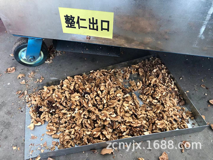 硬壳核桃去皮机厂家批量生产脱硬壳机众鑫批发核桃去壳机脱粒脱仁