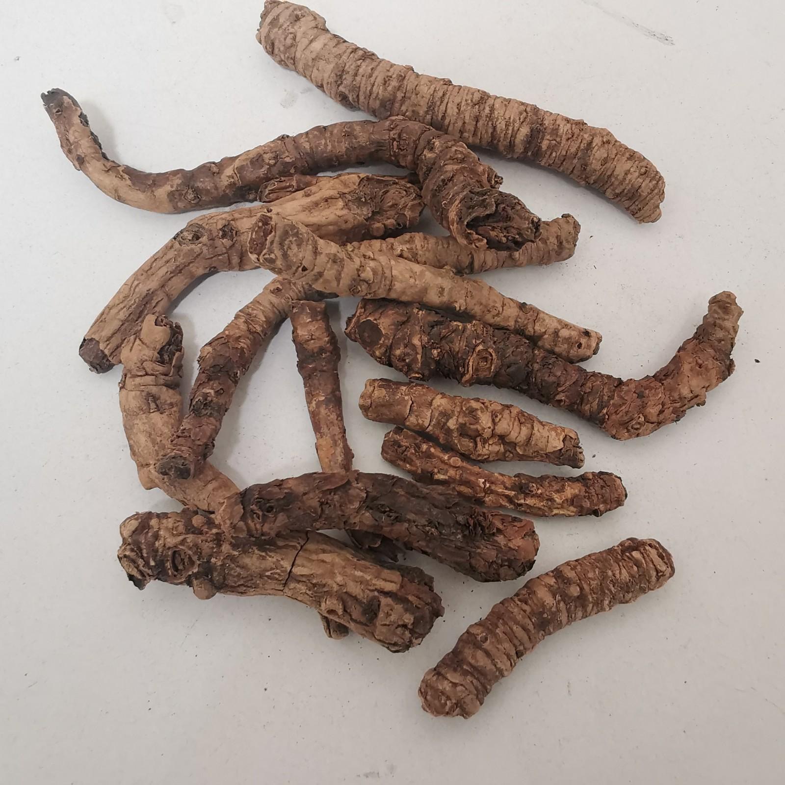 胡黄连huhuanglian 产地西藏拉萨 9月产新 395元每公斤包邮