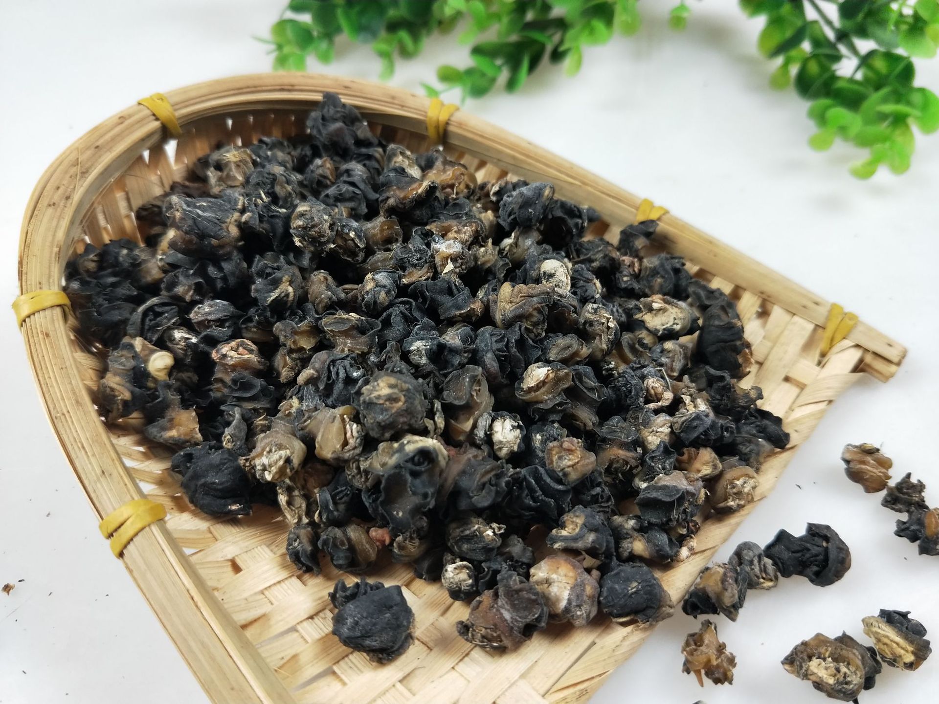 干田螺肉干湖南特产手工新鲜晒干螺丝肉干螺蛳肉干田螺一斤一份