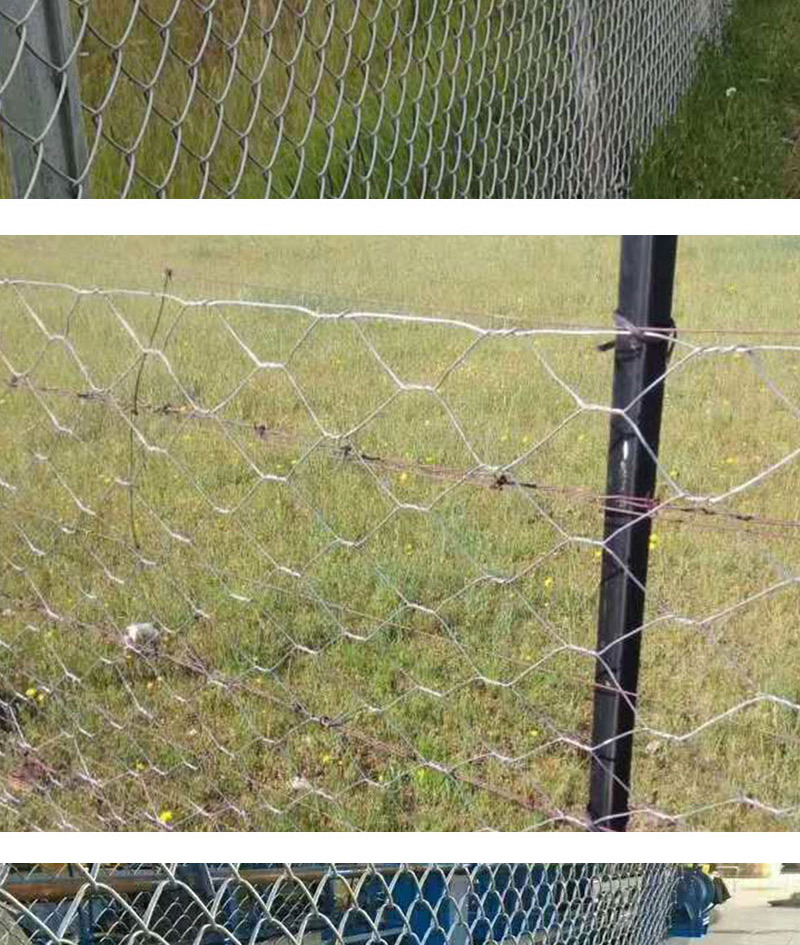 圈羊网圈牛网实力工厂销售 圈果园铁丝网 动物养殖围网