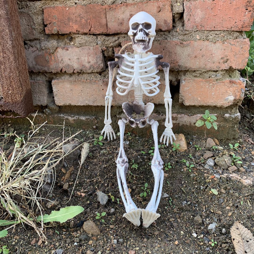 万圣节骷髅头仿真比例骨头鬼屋活动骨架塑料整蛊道具创意摆件