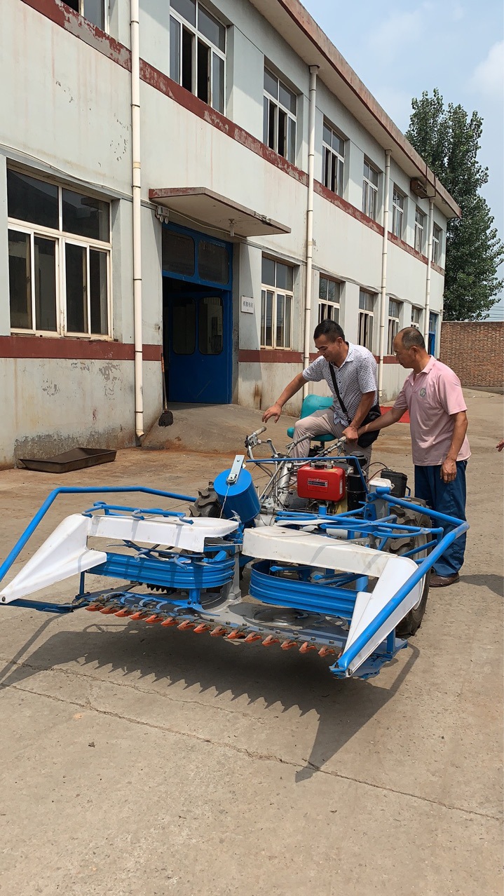 三轮坐式芦苇小麦收割打捆机 厂家直销四轮秸秆植物割捆机