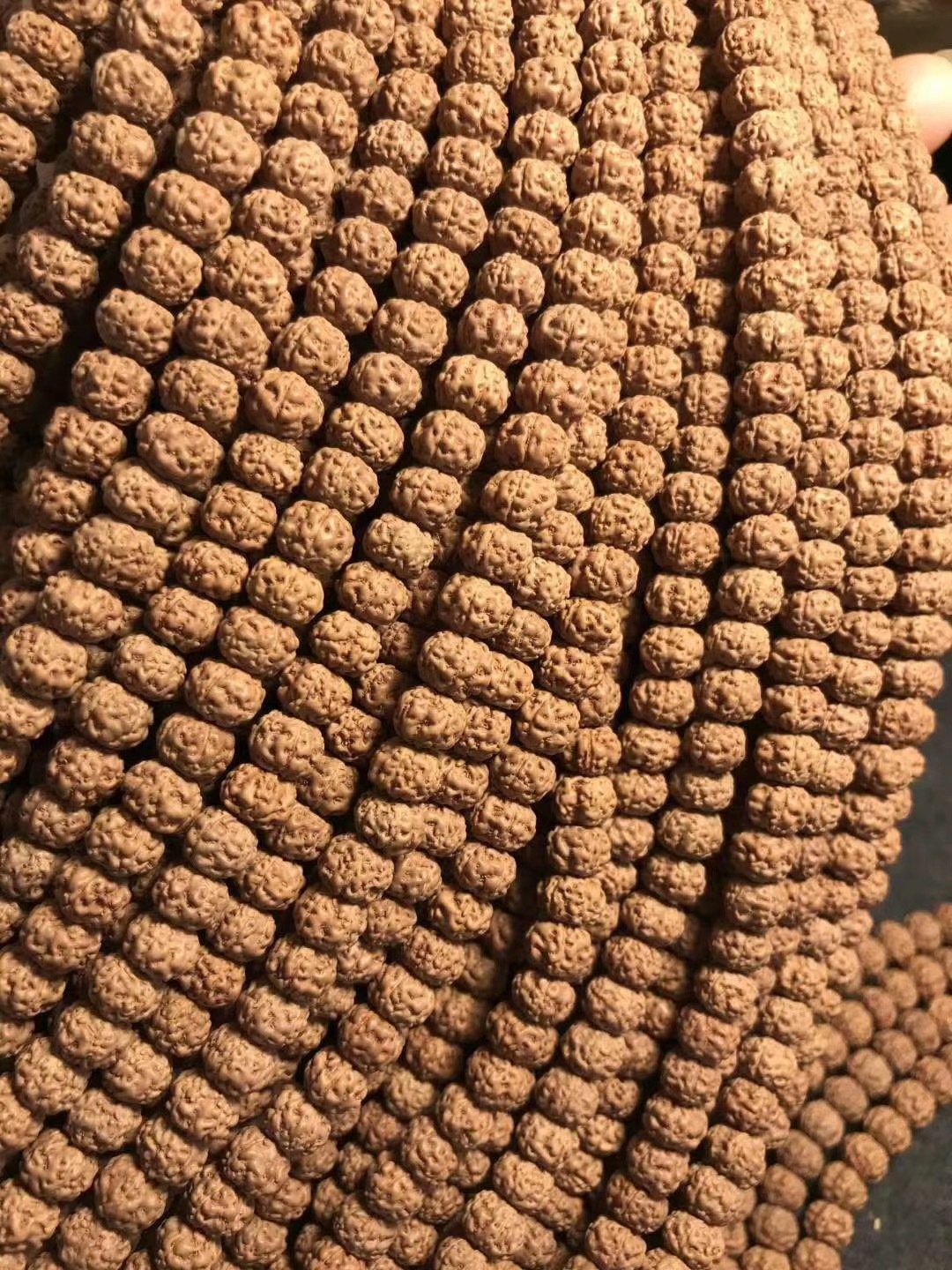 印尼小金刚长串,五瓣同树籽小钢豆小金刚 小尺寸(货号20)