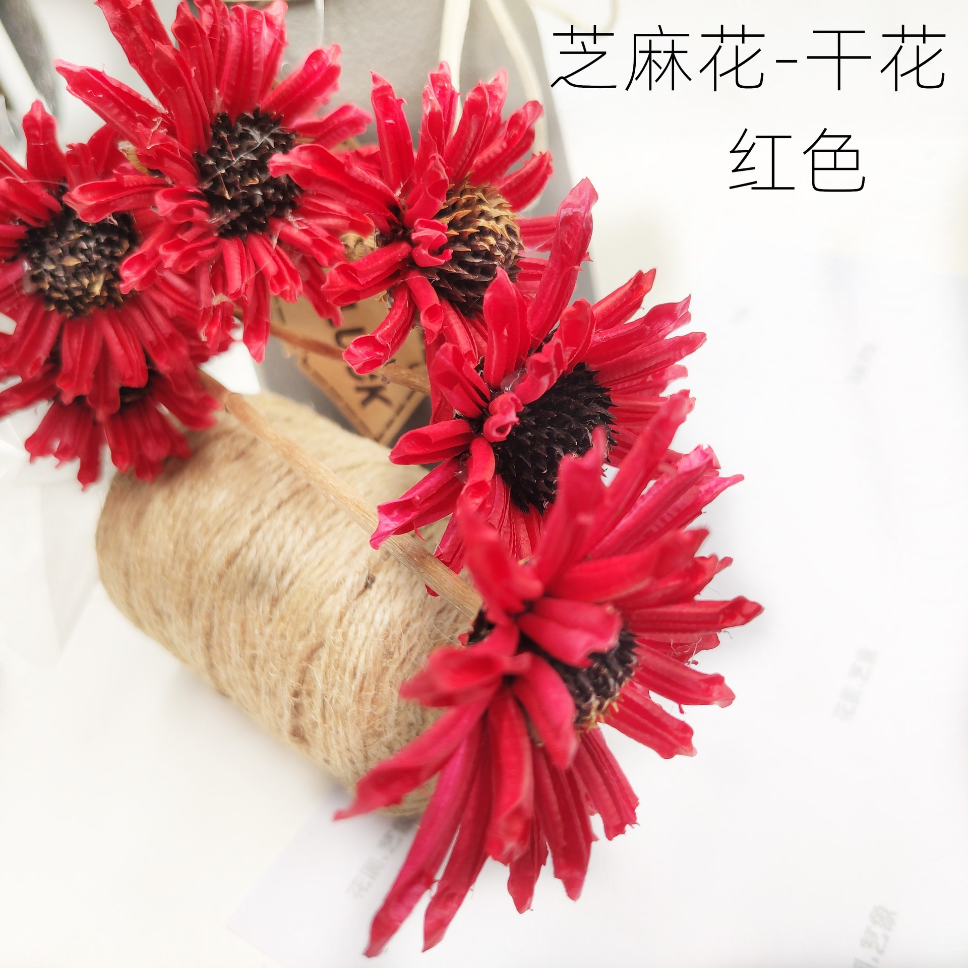 芝麻花干花 厂家直销批发花艺插花花束捧花 园艺装饰家居摆件婚庆