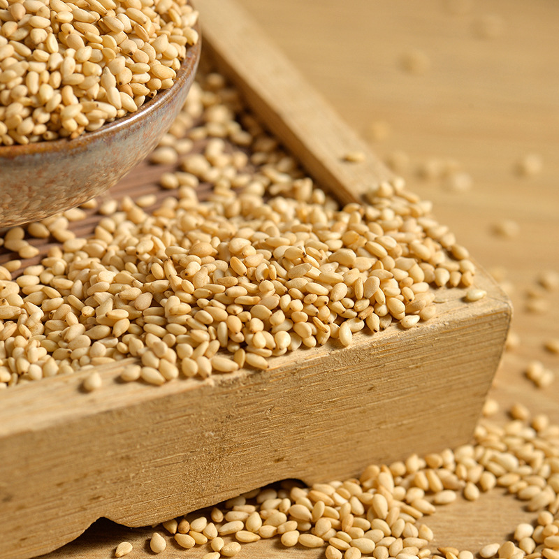 驻马店熟白芝麻 黄芝麻食品厂用 榨油磨酱五谷杂粮批发