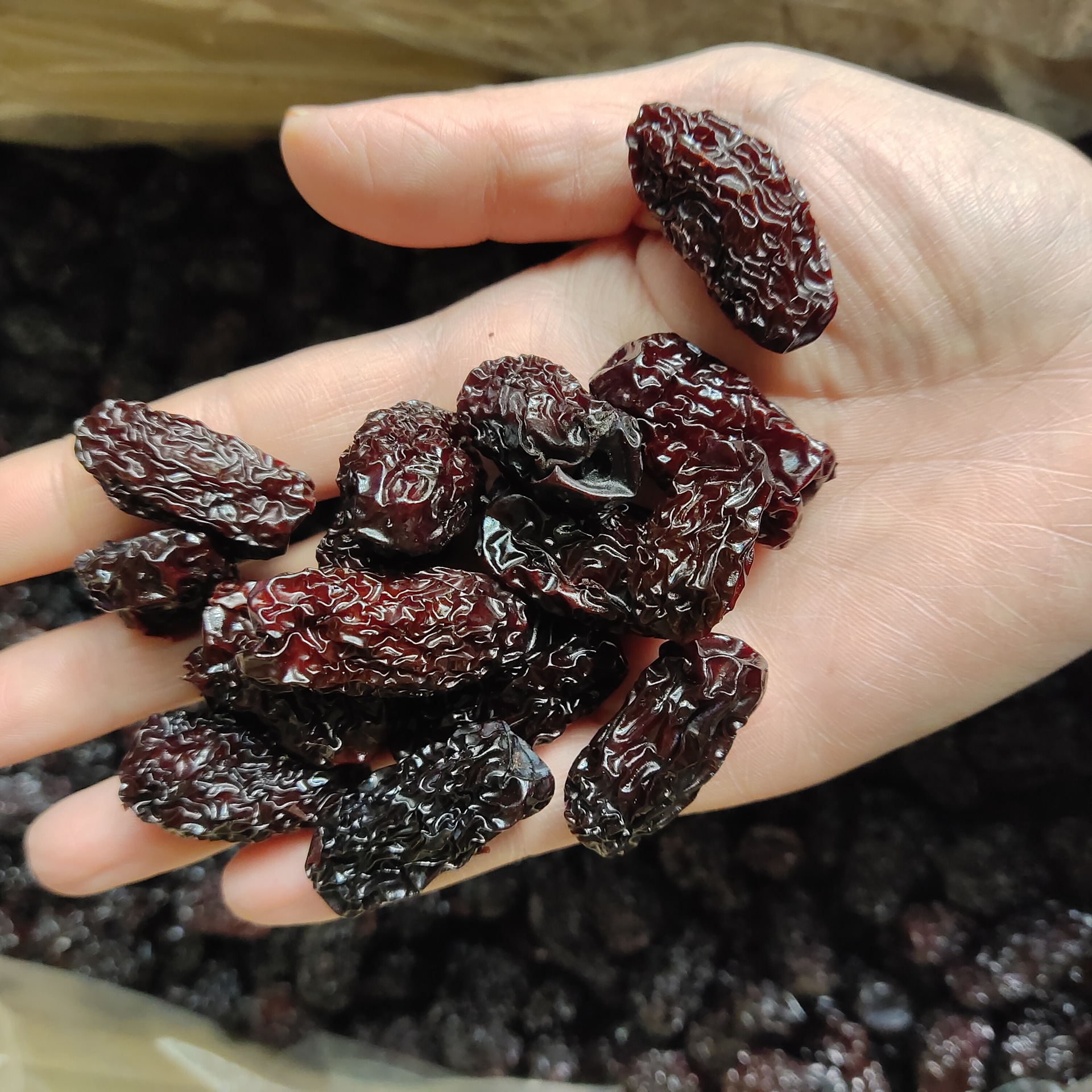 黑枣 heizao 产地 山东阳谷 6月产新 15元每公斤包邮 黑枣