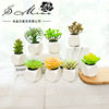 Artificial flower simulation Succulent plants bonsai Plastic Green plant originality Decoration Manufactor Direct selling Artificial Flower On behalf of Artificial flower simulation Succulent plants bonsai Plastic Green plant originality Decoration Manufactor Direct selling Artificial Flower On behalf of