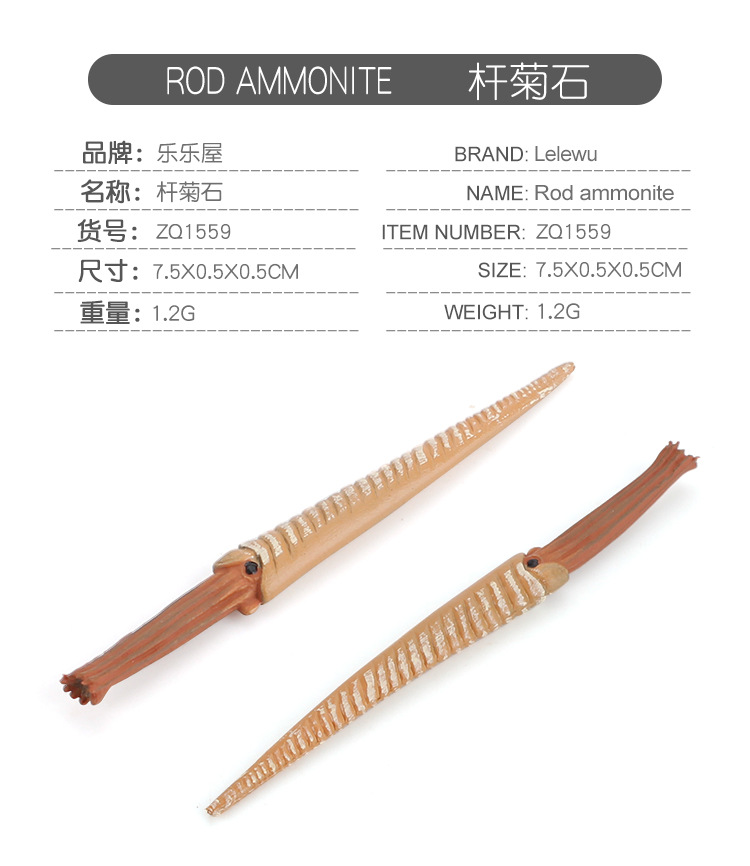 跨境仿真远古海洋海底生物邓氏鱼鹦鹉螺鳄鱼恐龙王儿童认知摆件