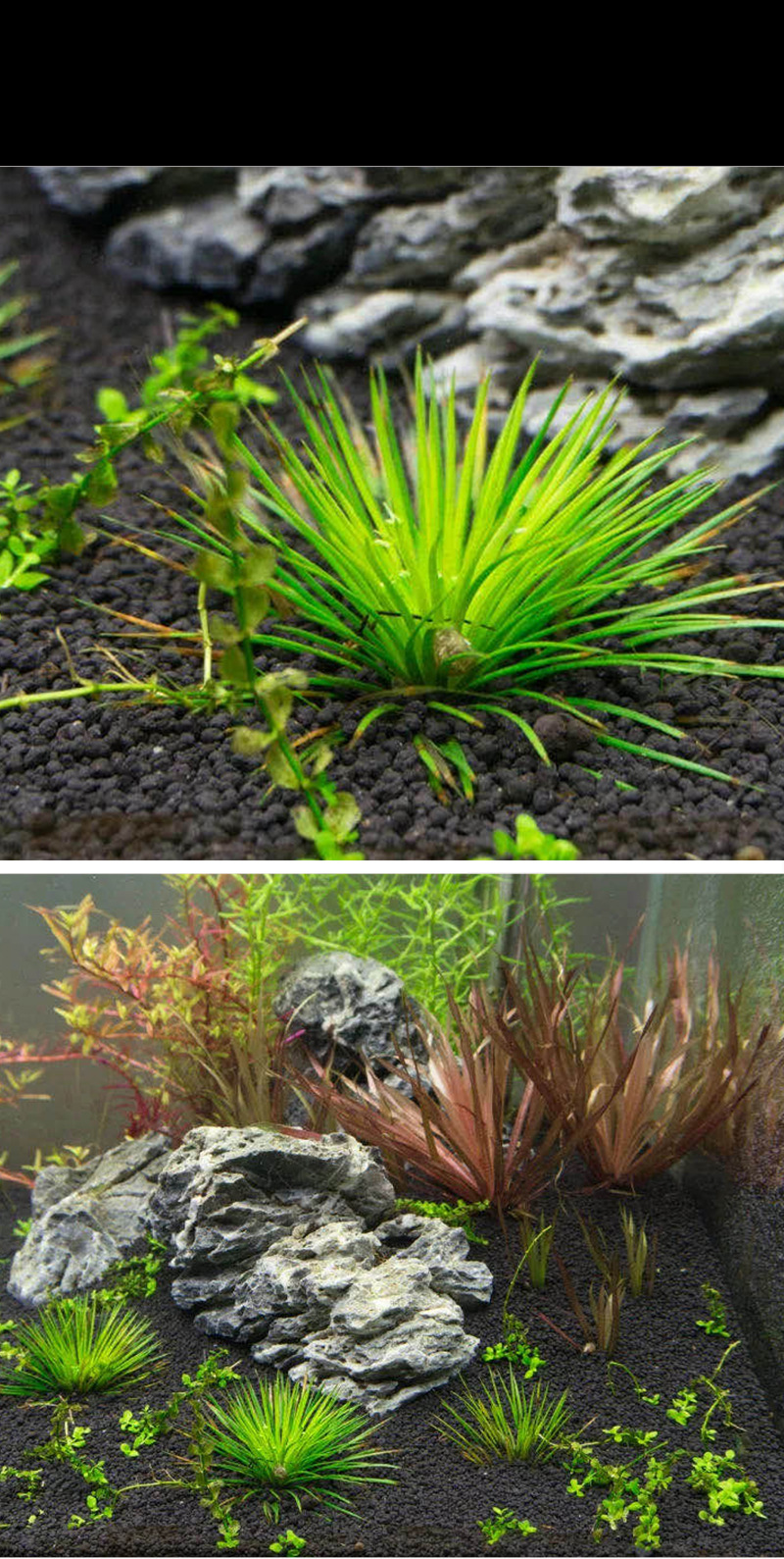 尼特利水草泥9升硬水通用版 底缸砂水草肥料泥 软水硬水版营养土