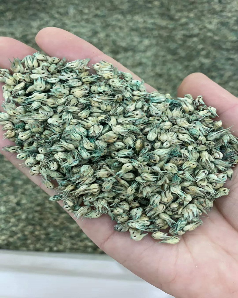 野牛草种子批发牧草匍匐厚密型新采当季多年暖季耐踩护坡道路固土