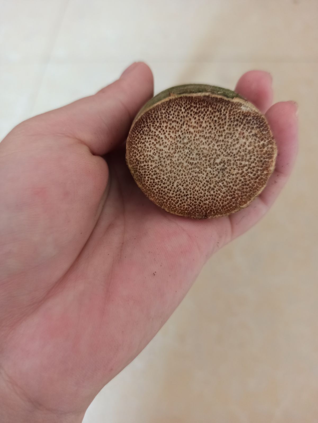 实心竹原料竹子雕刻料满鱼子纹竹原料手把件料生料文玩实心竹