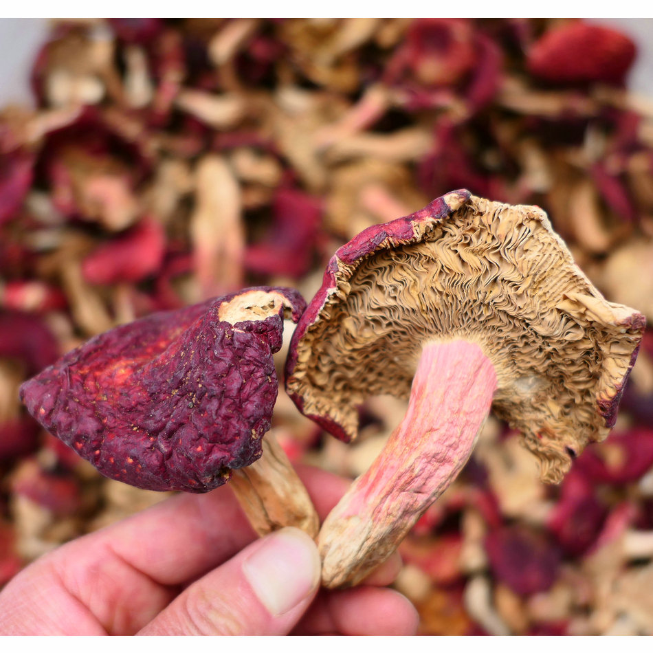 【裕菌隆】野生大红菌 品种满山红菇 云南特产 颜色漂亮价格美丽