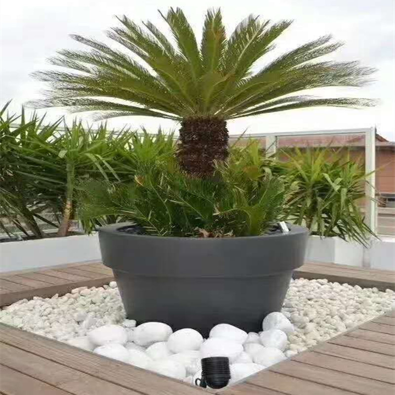 厂家直销白卵石 砾石 多肉微景观园林造景白石子 鱼缸造景白玉石