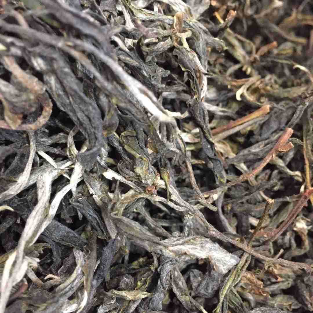 2020年云南头春易武大树茶 生普古树 毛料 批发