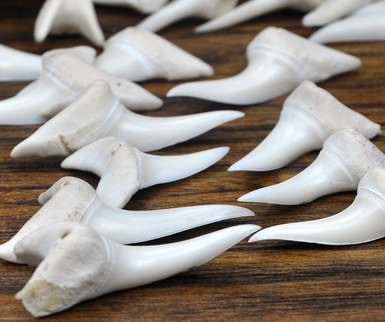 泰国鲨鱼牙齿吊坠男女个性配饰东南亚创意首饰品diy 项坠