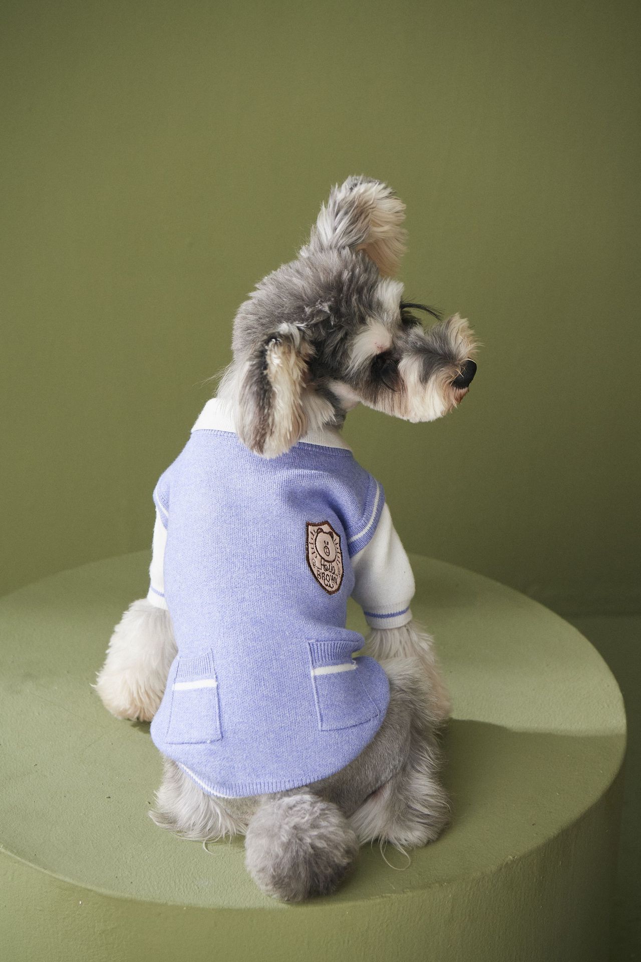 狗狗衣服秋冬装新款假两件毛衣针织衫泰迪雪纳瑞博美法斗宠物装潮