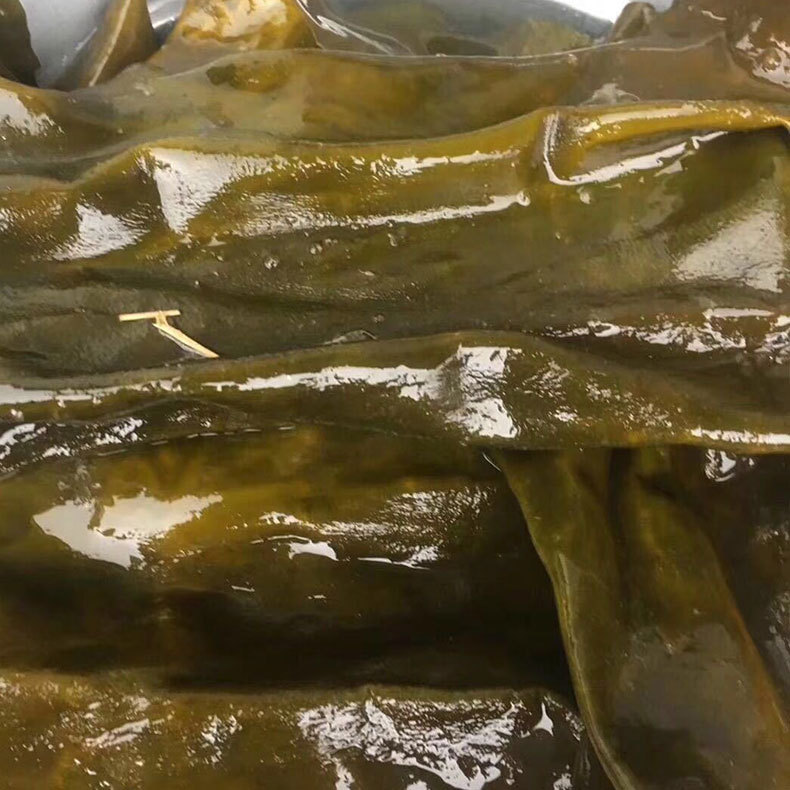 干海带皮地摊海带皮干货年货地摊热卖货源跑江湖暴利产品10元模式