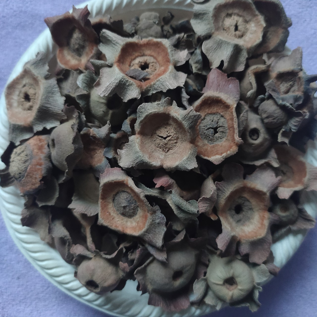 批批供应中药材柿蒂柿丁蒂柿子蒂承接订单