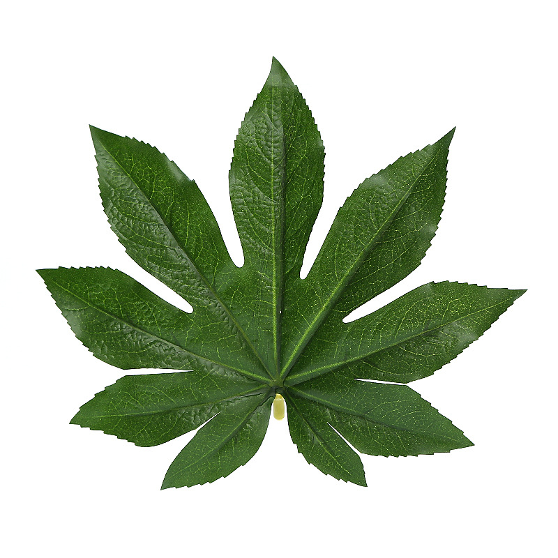 仿真八角金盘水果店果篮垫底绿叶装饰植物过胶手感叶子单片八角叶