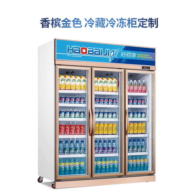 好佰家定制低温冷冻柜冷藏柜鲜花红酒蔬菜药品超市商用牛奶展示柜