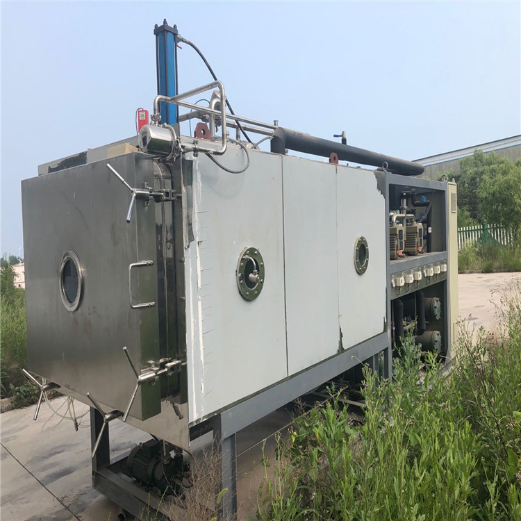 出售价格二手真空冻干机冷冻干燥机草莓冻干机