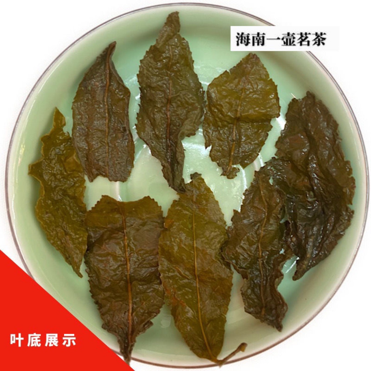 2020年礼盒装新品海南兰贵人正宗浓香型五指山乌龙茶特产净重一斤